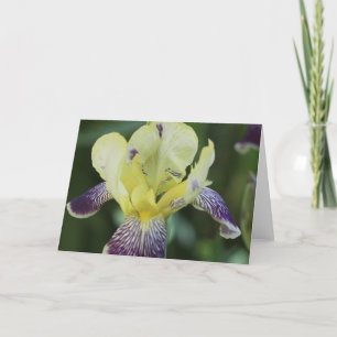 Carte de voeux orchidée rare