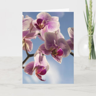 Carte de voeux orchidée rose