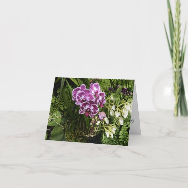 Carte de vœux orchidées toutes occasions (Devant)