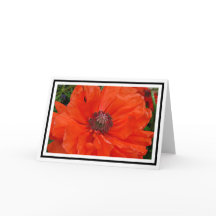 Carte de voeux Oriental Poppy