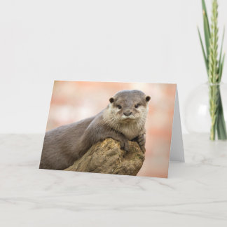 Carte de voeux Otter