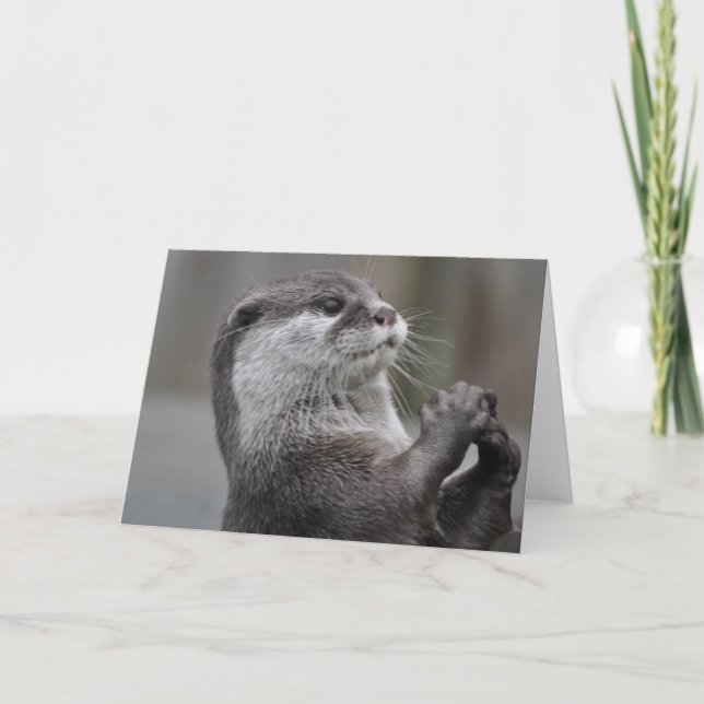 Carte de voeux Otter Mastermind (Devant)