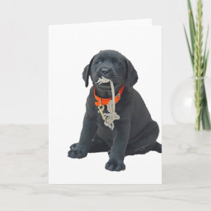 Carte de voeux ou carte de note avec Black Labrado