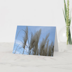 Carte de voeux - Pampas Grass