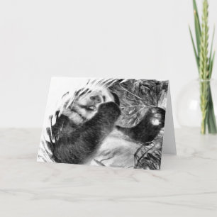 Carte de voeux Panda Hug B&W
