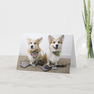Carte de voeux Panier Corgis