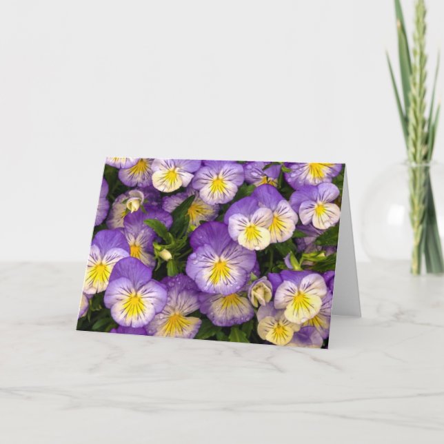 Carte de voeux Pansies (Devant)