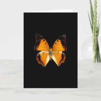 Carte de voeux Papillon Charax à bordure noire