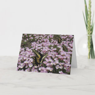 Carte de voeux - Papillons et fleurs