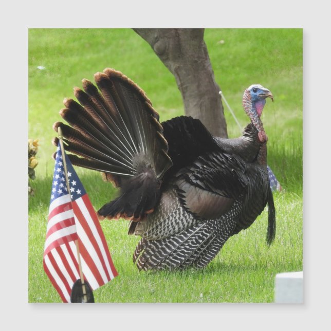 Carte de voeux Patriotique Turquie Strut Magnet (Devant)
