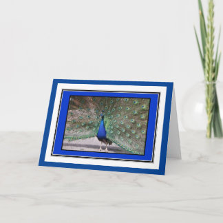 Carte de voeux Peacock