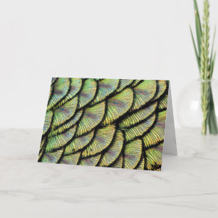 Carte de voeux Peacock Feathers