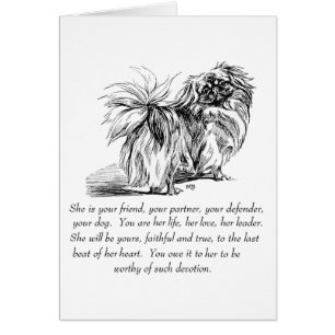 Carte de voeux Pekingese