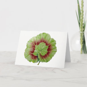Carte de voeux Pelargonium 'Geranium Leaf'