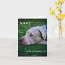 Carte de vœux pensée personnalisée pour chien 