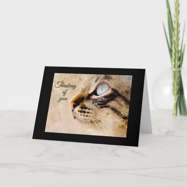 Carte de vœux Pensées pour toi de la part du chat (Devant)