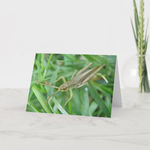 Carte de voeux personnalisable Grasshopper