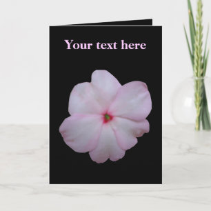 Carte de voeux personnalisable rose d'Impatiens