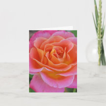 Carte de vœux personnalisée avec rose rose et oran