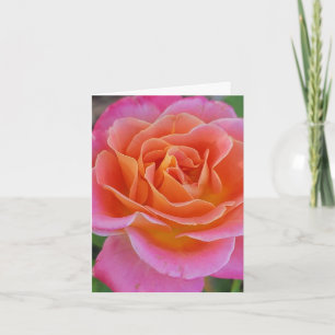 Carte de vœux personnalisée avec rose rose et oran