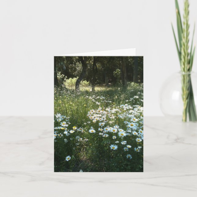 Carte de vœux personnalisée Champ de marguerites (Devant)