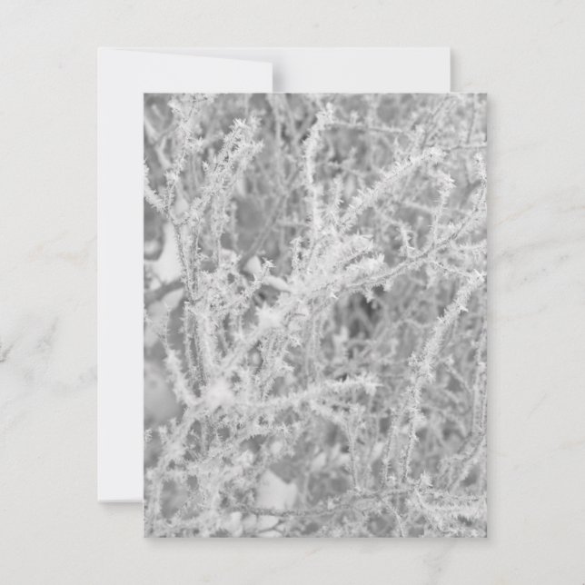 Carte de vœux personnalisée en blanc pour l'hiver  (Devant)