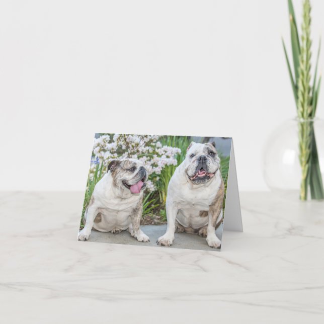 Carte de voeux personnalisée pour les Bulldogs mig (Devant)