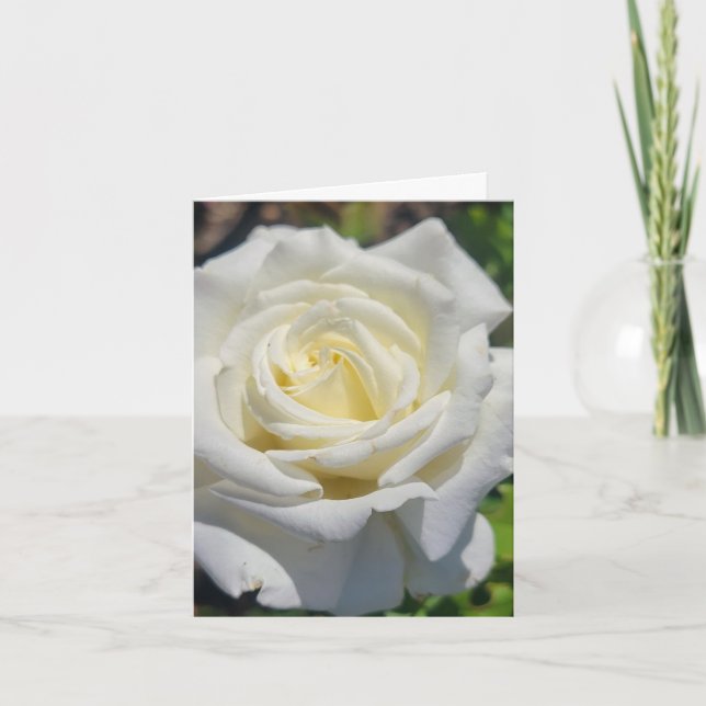 Carte de vœux personnalisée Rose Blanche (Devant)