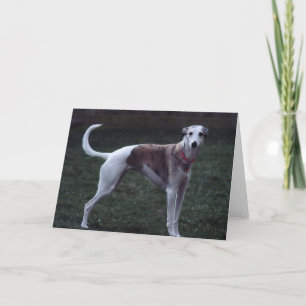 Carte de voeux photo "Bailey" Whippet