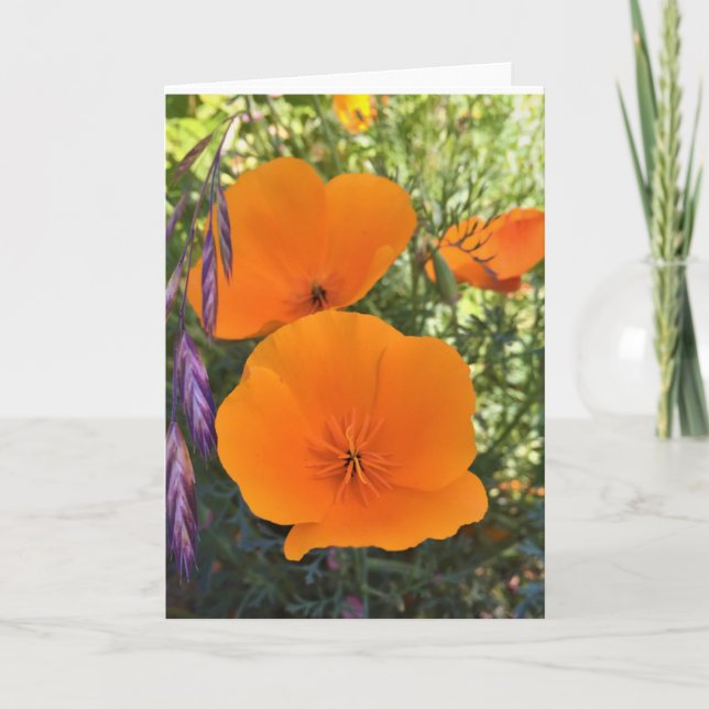 Carte de voeux photo California Poppy (Devant)