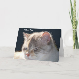Carte de voeux photo Cat