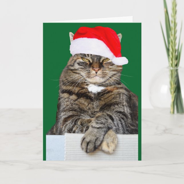 Carte de voeux photo de Noël Humbug (Devant)