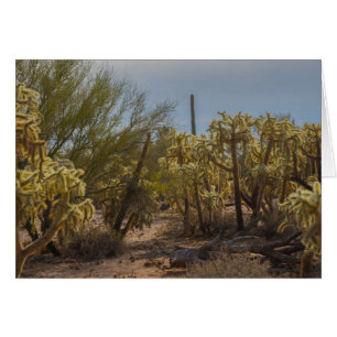 Carte de voeux photo Desert La Cholla Cactus