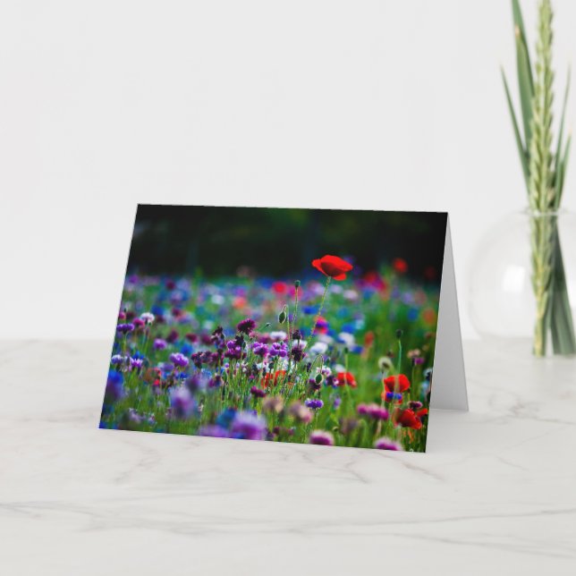 Carte de voeux photo Fleur sauvage colorée (Devant)