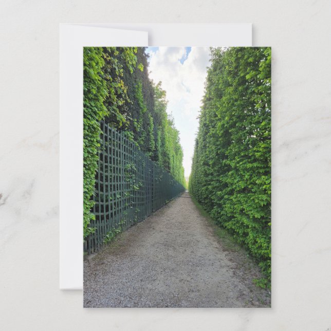 Carte de voeux photo Jardins de Versailles (Devant)