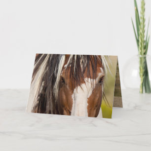 Carte de voeux Picasso's Eyes Wild Horse