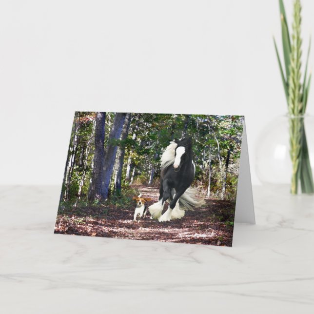 Carte de voeux "Pine Barrens Run" (Devant)