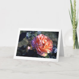 Carte de voeux Pink Rose Pliée Blank
