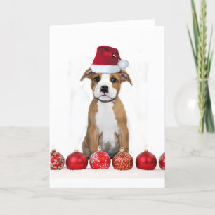 Carte de voeux pitbull de Noël