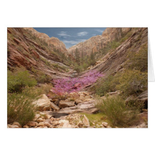 Carte de voeux Pittoresque de Terrace Canyon