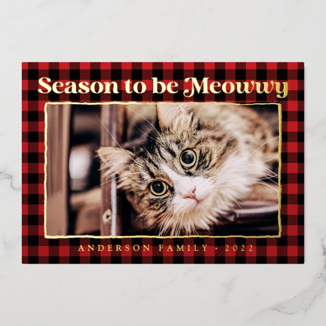 Carte de vœux plaid drôle avec photo de chat (Recto)