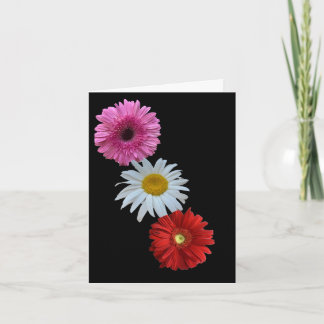 Carte de vœux plate florale mixte colorée Daisy
