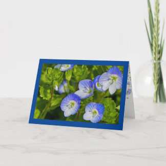 Carte de voeux pliée