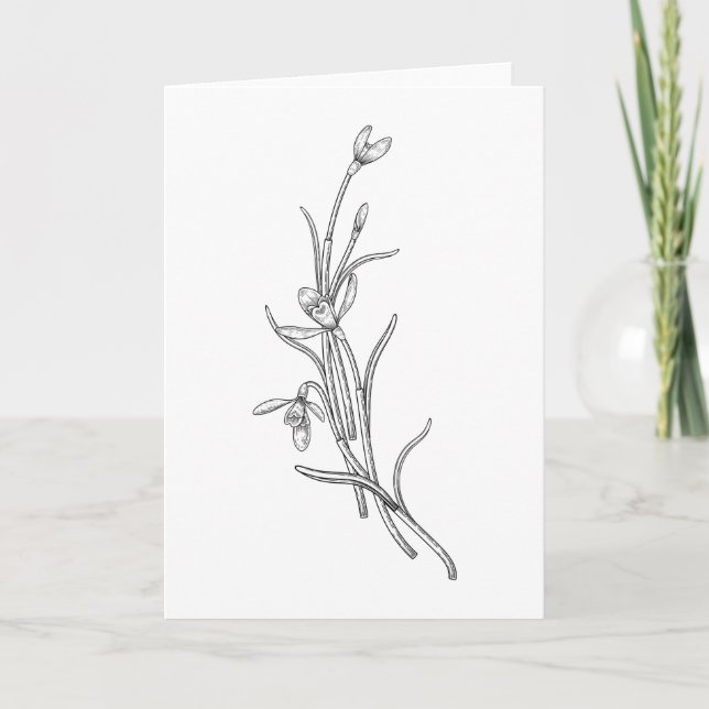 Carte de voeux pliée à la feuille de neige tirée à (Devant)