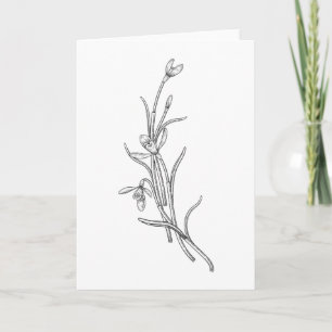 Carte de voeux pliée à la feuille de neige tirée à