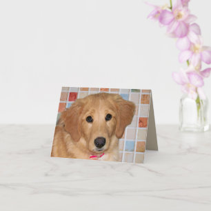 Carte de vœux pliée Adorable chiot Golden Retrieve