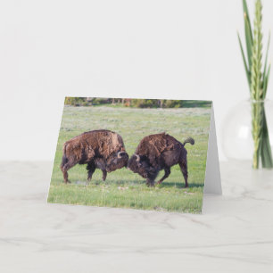 Carte de voeux pliée American Bison