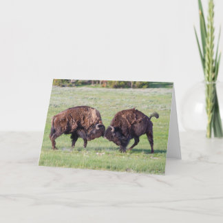 Carte de voeux pliée American Bison