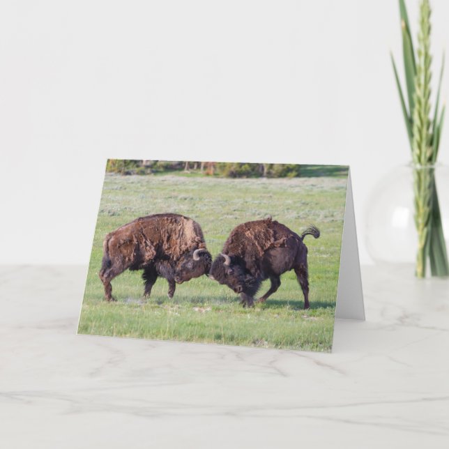 Carte de voeux pliée American Bison (Devant)