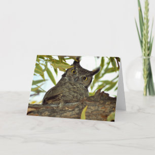 Carte de voeux pliée avec grand hibou à cornes